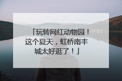 玩转网红动物园！这个夏天，虹桥南丰城太好逛了！