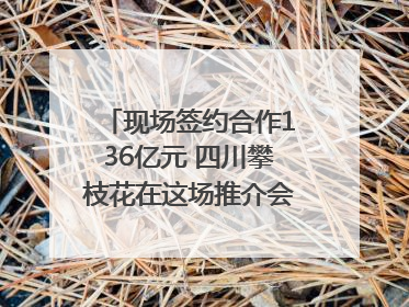 现场签约合作136亿元 四川攀枝花在这场推介会上画“图谱”列“清单”