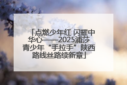 点燃少年红 闪耀中华心——2025浦莎青少年“手拉手”陕西路线丝路续新章
