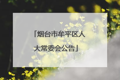 烟台市牟平区人大常委会公告