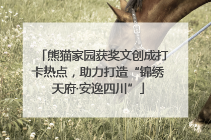 熊猫家园获奖文创成打卡热点，助力打造“锦绣天府·安逸四川”
