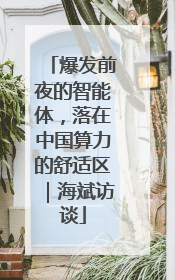 爆发前夜的智能体，落在中国算力的舒适区｜海斌访谈