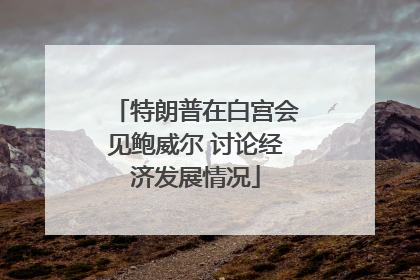 特朗普在白宫会见鲍威尔 讨论经济发展情况