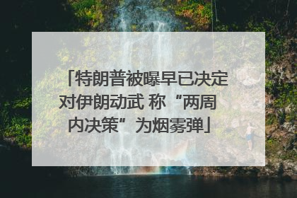 特朗普被曝早已决定对伊朗动武 称“两周内决策”为烟雾弹