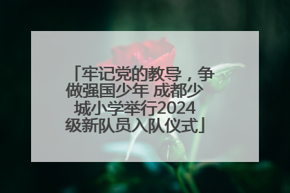 牢记党的教导，争做强国少年 成都少城小学举行2024级新队员入队仪式