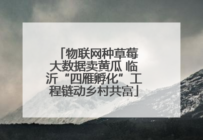 物联网种草莓 大数据卖黄瓜 临沂“四雁孵化”工程链动乡村共富