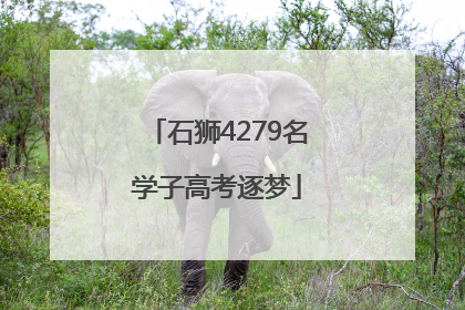 石狮4279名学子高考逐梦