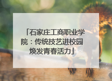 石家庄工商职业学院：传统技艺进校园焕发青春活力