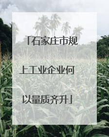 石家庄市规上工业企业何以量质齐升