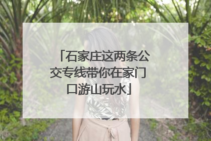 石家庄这两条公交专线带你在家门口游山玩水