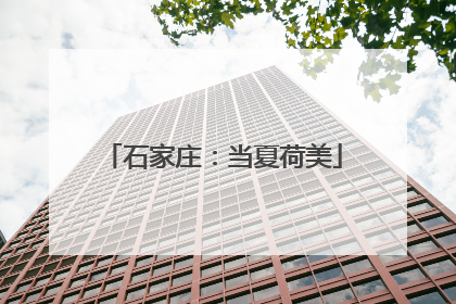 石家庄：当夏荷美