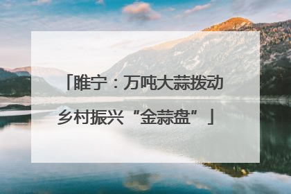 睢宁：万吨大蒜拨动乡村振兴“金蒜盘”