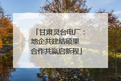甘肃灵台电厂：地企共建结硕果 合作共赢启新程