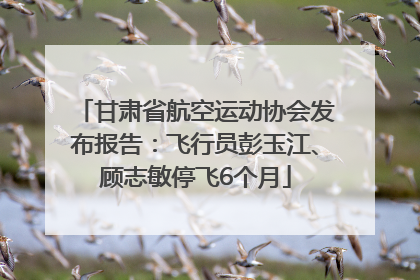 甘肃省航空运动协会发布报告：飞行员彭玉江、顾志敏停飞6个月
