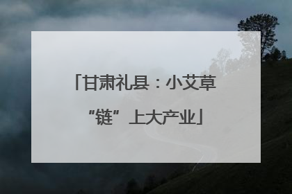 甘肃礼县：小艾草“链”上大产业