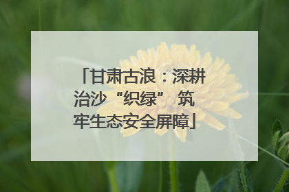 甘肃古浪：深耕治沙“织绿” 筑牢生态安全屏障