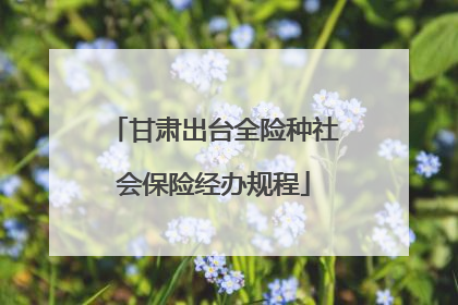 甘肃出台全险种社会保险经办规程
