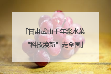 甘肃武山千年浆水菜“科技焕新”走全国