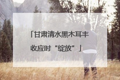甘肃清水黑木耳丰收应时“绽放”