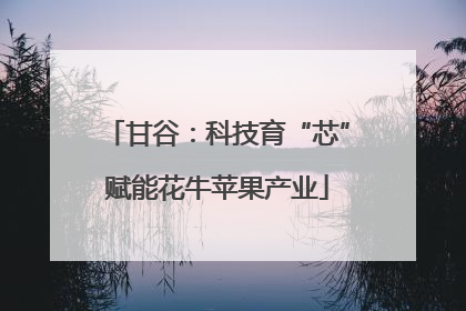 甘谷：科技育“芯”赋能花牛苹果产业