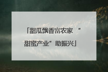 甜瓜飘香富农家 “甜蜜产业”助振兴