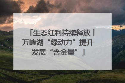 生态红利持续释放丨万峰湖“绿动力”提升发展“含金量”