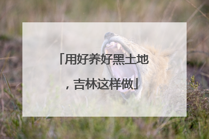 用好养好黑土地，吉林这样做