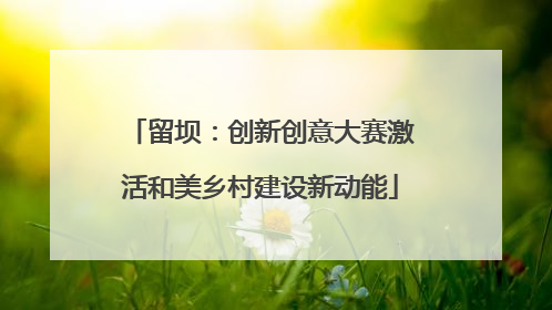 留坝：创新创意大赛激活和美乡村建设新动能
