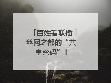 百姓看联播丨丝网之都的“共享密码”