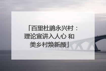 百里杜鹃永兴村：理论宣讲入人心 和美乡村焕新颜