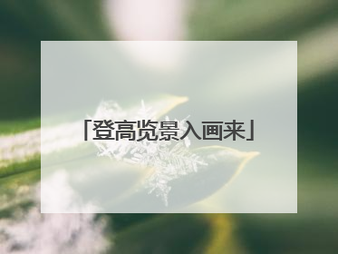 登高览景入画来