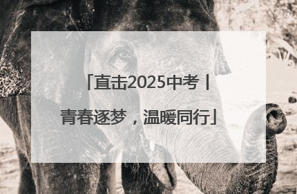 直击2025中考丨青春逐梦，温暖同行