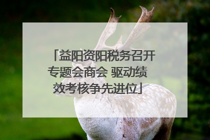 益阳资阳税务召开专题会商会 驱动绩效考核争先进位