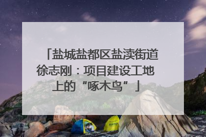 盐城盐都区盐渎街道徐志刚：项目建设工地上的“啄木鸟”