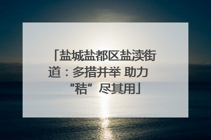 盐城盐都区盐渎街道：多措并举 助力“秸”尽其用