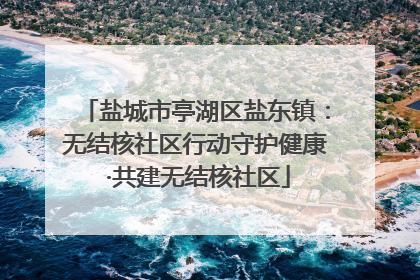 盐城市亭湖区盐东镇：无结核社区行动守护健康 ·共建无结核社区