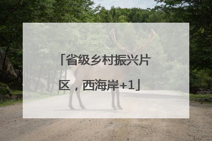 省级乡村振兴片区，西海岸+1