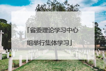 省委理论学习中心组举行集体学习