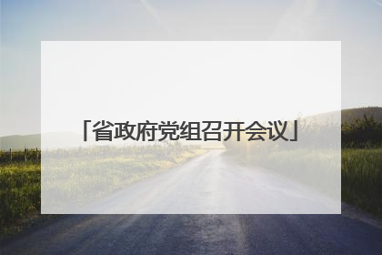 省政府党组召开会议