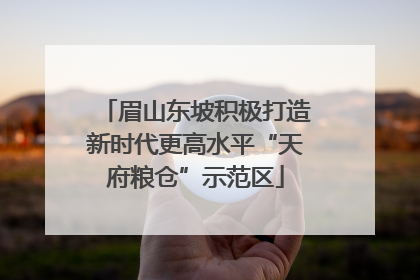 眉山东坡积极打造新时代更高水平“天府粮仓”示范区