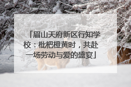 眉山天府新区行知学校：枇杷橙黄时，共赴一场劳动与爱的盛宴
