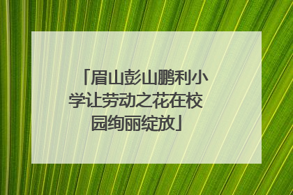 眉山彭山鹏利小学让劳动之花在校园绚丽绽放