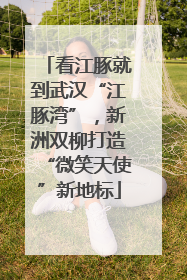 看江豚就到武汉“江豚湾”，新洲双柳打造“微笑天使”新地标