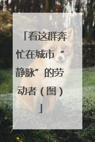 看这群奔忙在城市“静脉”的劳动者（图）