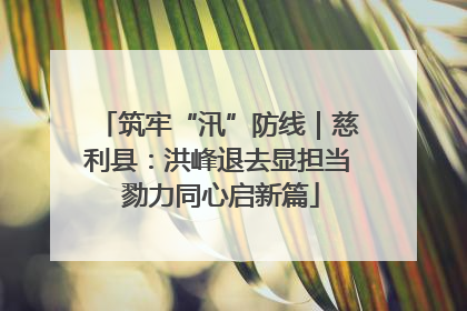 筑牢“汛”防线｜慈利县：洪峰退去显担当 勠力同心启新篇