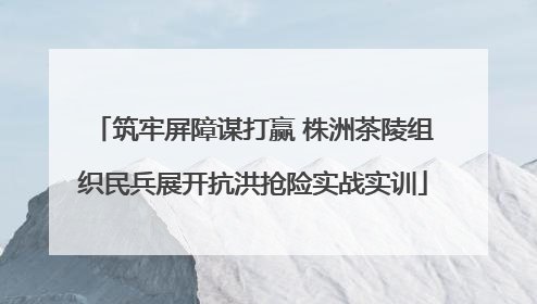 筑牢屏障谋打赢 株洲茶陵组织民兵展开抗洪抢险实战实训