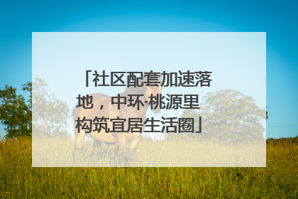 社区配套加速落地，中环·桃源里构筑宜居生活圈