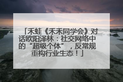 禾蛙《禾禾同学会》对话欧阳泽林：社交网络中的“超级个体”，反常规重构行业生态！