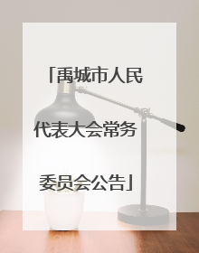 禹城市人民代表大会常务委员会公告