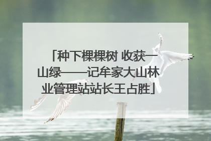 种下棵棵树 收获一山绿——记牟家大山林业管理站站长王占胜